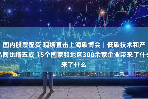 国内股票配资 现场直击上海碳博会｜低碳技术和产品同比增五成 15个国家和地区300余家企业带来了什么