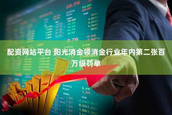 配资网站平台 阳光消金领消金行业年内第二张百万级罚单