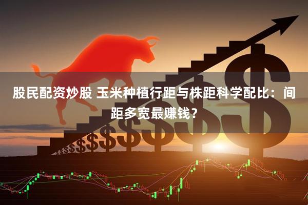 股民配资炒股 玉米种植行距与株距科学配比：间距多宽最赚钱？