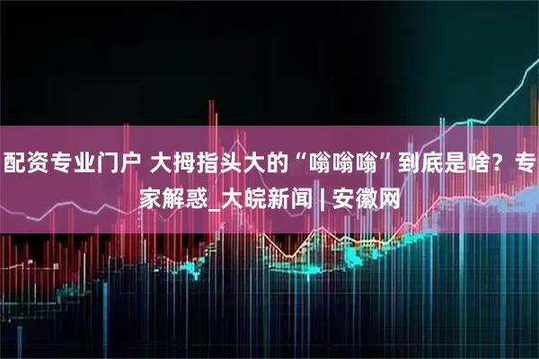 配资专业门户 大拇指头大的“嗡嗡嗡”到底是啥？专家解惑_大皖新闻 | 安徽网
