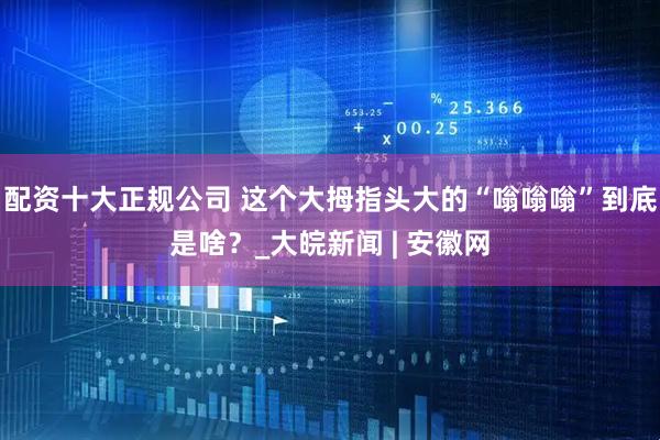 配资十大正规公司 这个大拇指头大的“嗡嗡嗡”到底是啥？_大皖新闻 | 安徽网